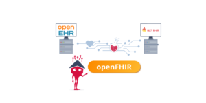 Combining openEHR and FHIR in practice: A practical approach to bridging two standards